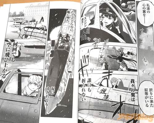「(たとえどんなに地に堕ち、泥にまみれても――何回でも空に飛び上がる)」