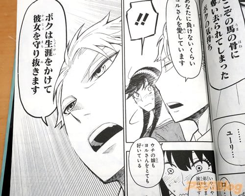 「たとえ槍が降ろうと核爆弾が降ろうと、ボクは生涯をかけて彼女を守り抜きます」