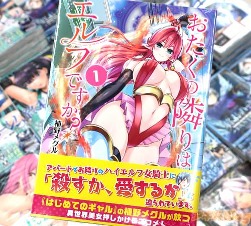 植野メグルの漫画「おたくの隣りはエルフですか?」1巻