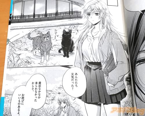 「あんたたち、元気だった?最近なかなか来られなかったからさ」