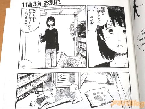 「残念なお知らせやで」