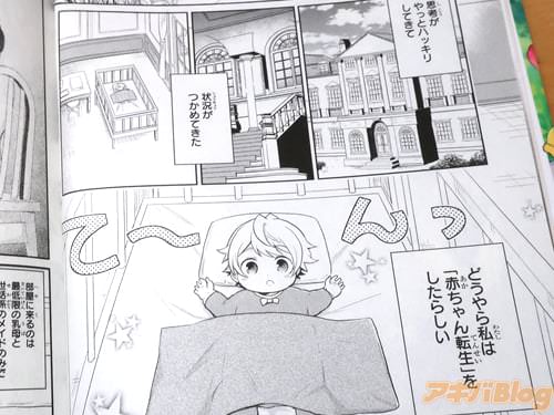 「どうやら私は赤ちゃん転生をしたらしい」