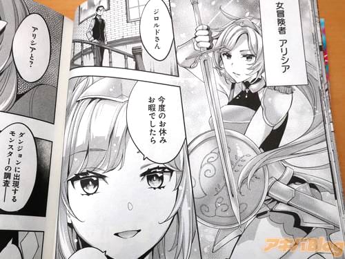 女冒険者のアリシア