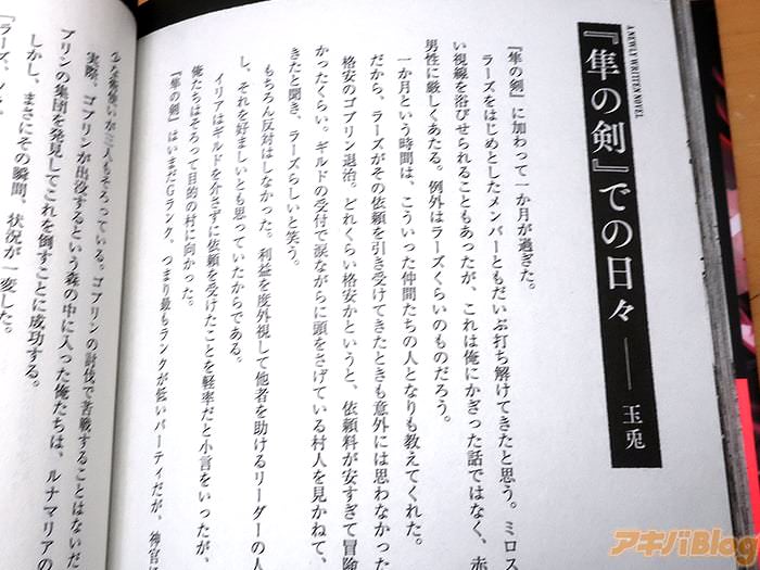 [画像]:「反逆のソウルイーター ～THE REVENGE OF THE SOUL EATER～」1巻の書き下ろし小説